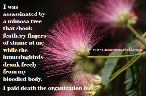 Inspired by Feed The Feesh