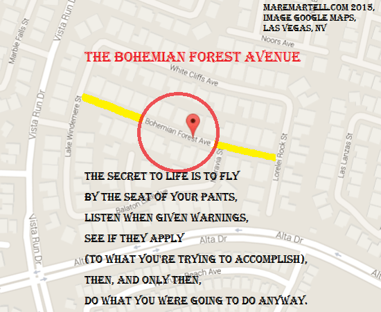 Bohemian Forest Avenue is located in Las Vegas, NV. Google Maps made the image.