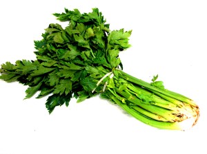 Savory stalker, celery