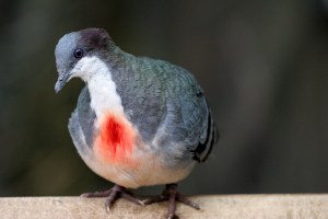 As I released her hand, my heart bled tears of peace